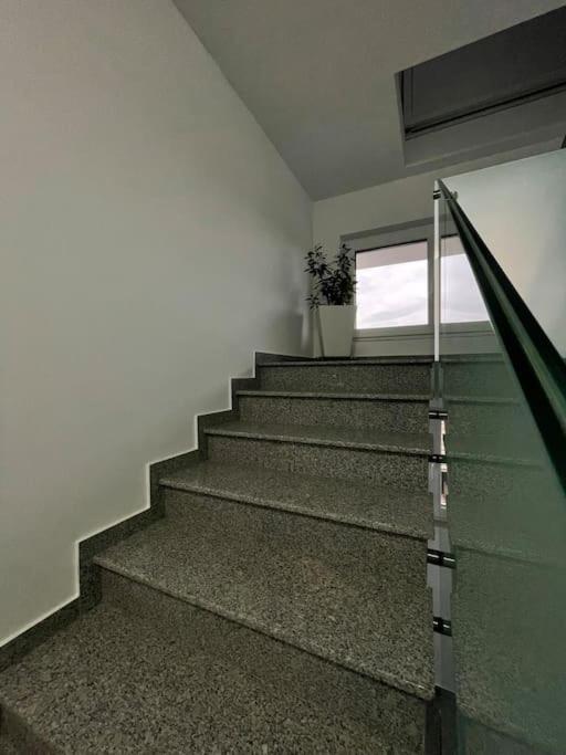 Apartament Timisoara 6 Exteriör bild